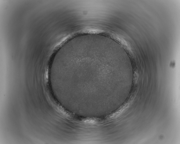 X0000099490358200805221343