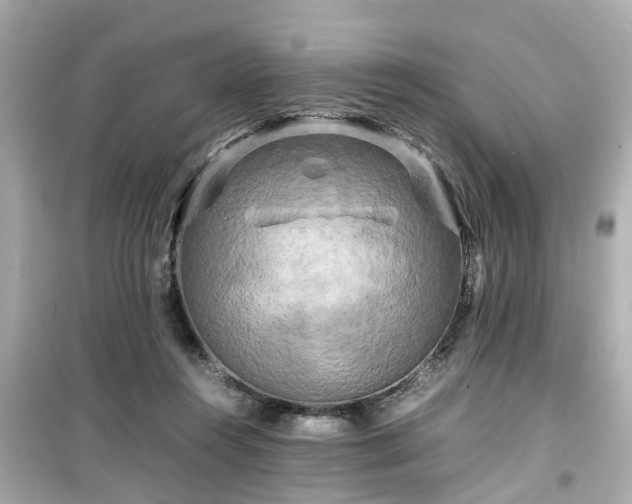 X0000099490360200805221343