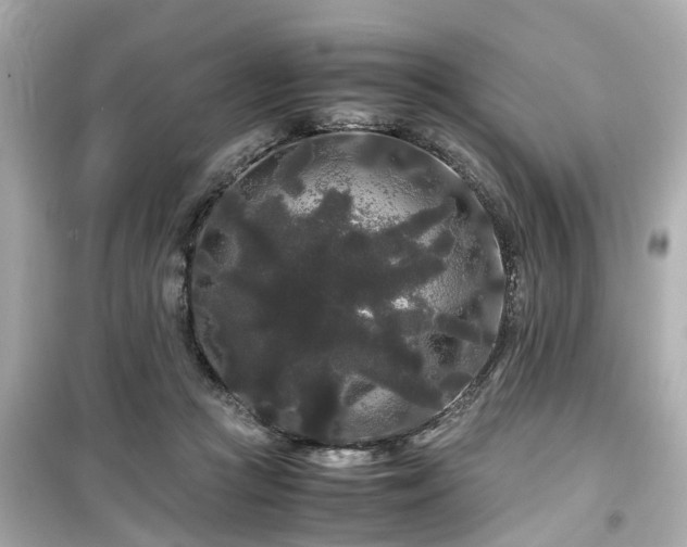 X0000099490361200805221343
