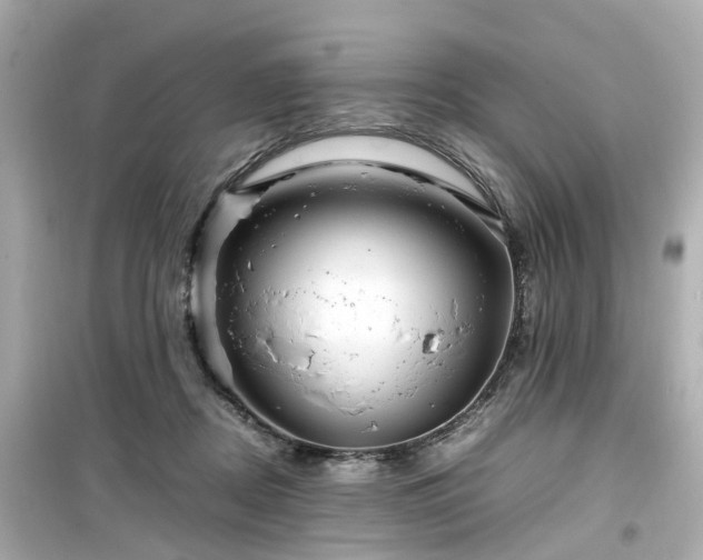 X0000099490362200805221343