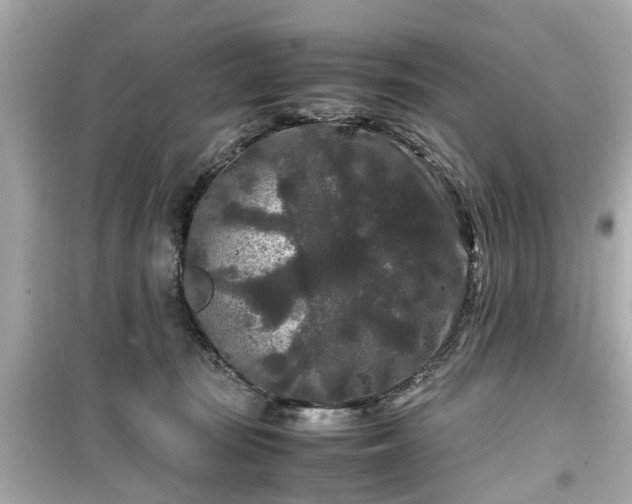 X0000099490371200805221343