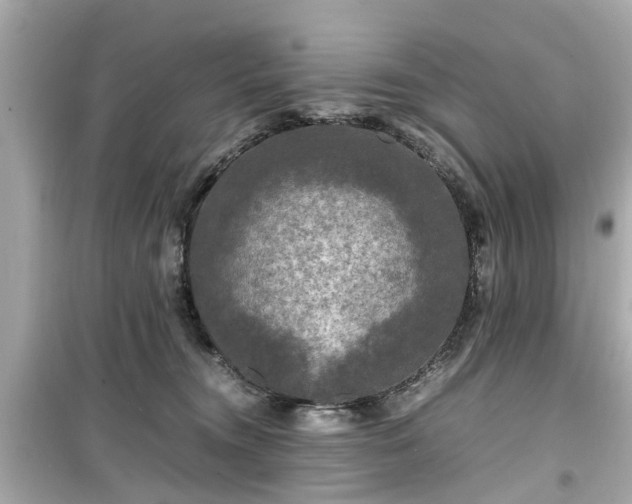 X0000099490372200805221343