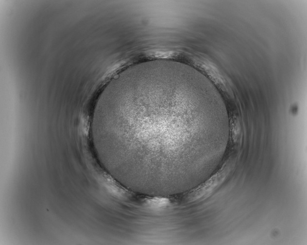 X0000099490374200805221343