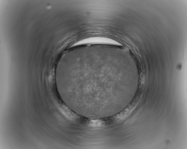 X0000099490376200805221343
