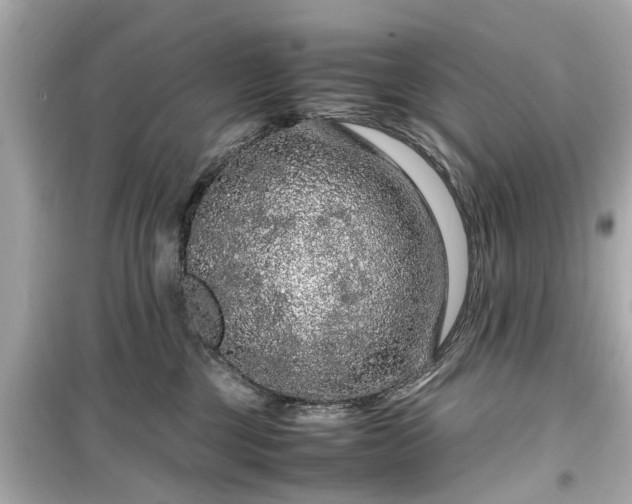 X0000099490377200805221343