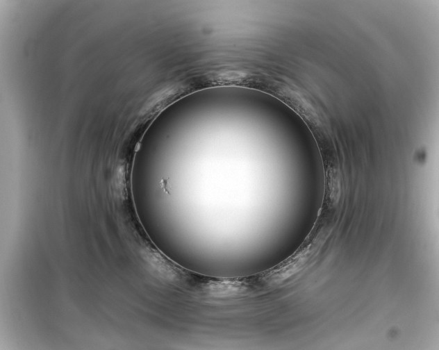 X0000099490378200805221343