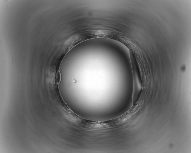 X0000099490379200805221343
