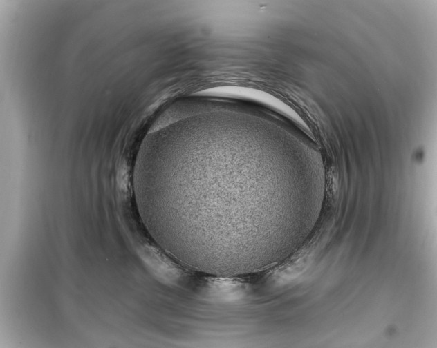 X0000099490380200805221343