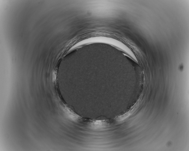 X0000099490382200805221343