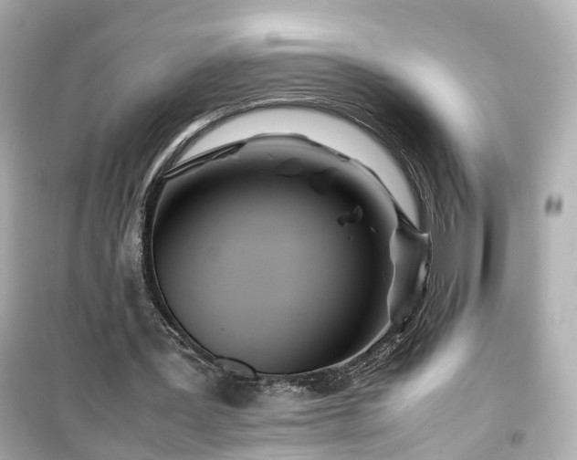 X0000099490387200805221343