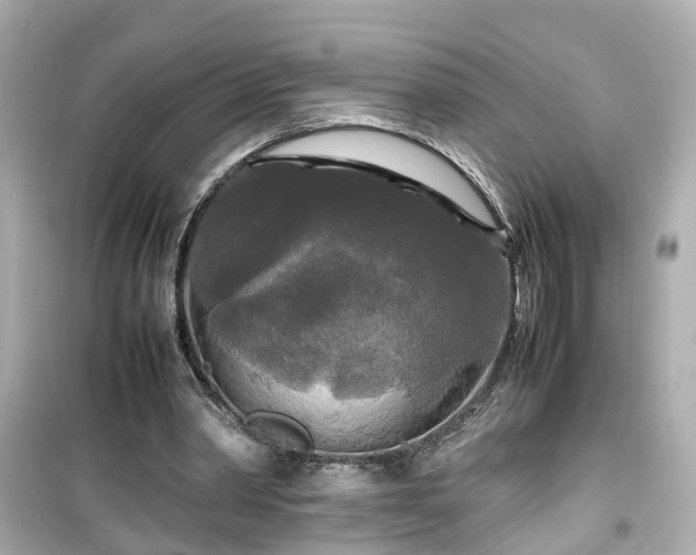 X0000099490390200805221343