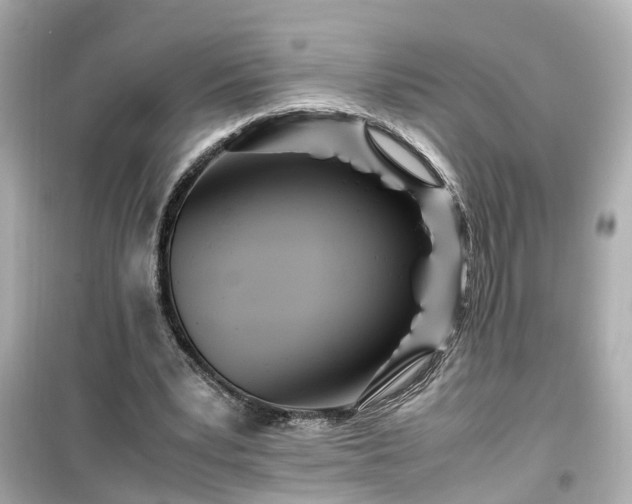 X0000099490391200805221343