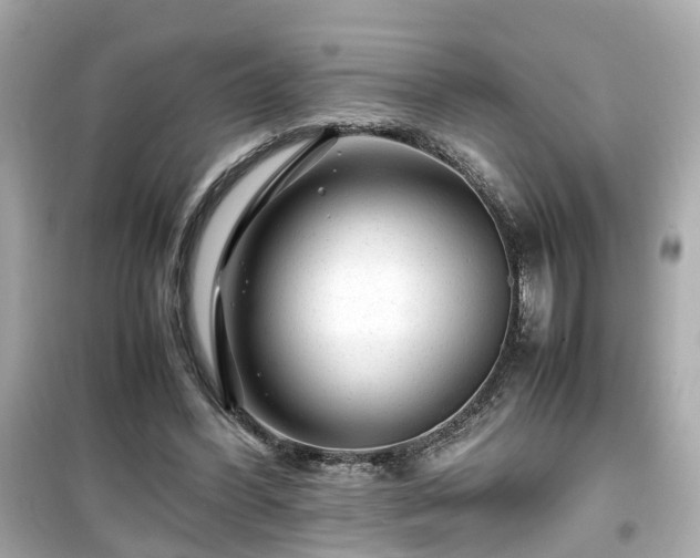 X0000099490396200805221342