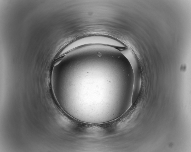 X0000099490397200805221342