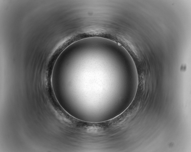 X0000099490400200805221342