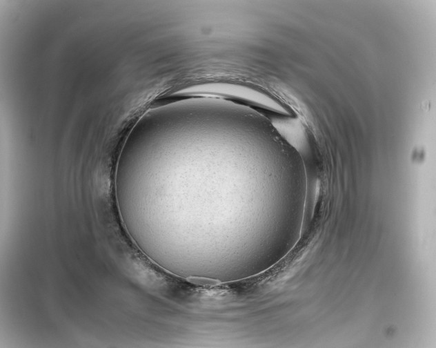 X0000099490401200805221342