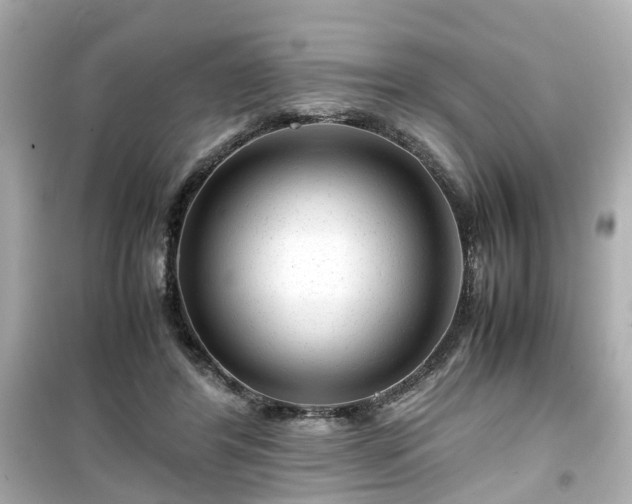 X0000099490404200805221342