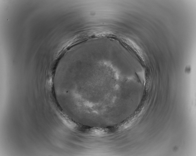 X0000099490405200805221342