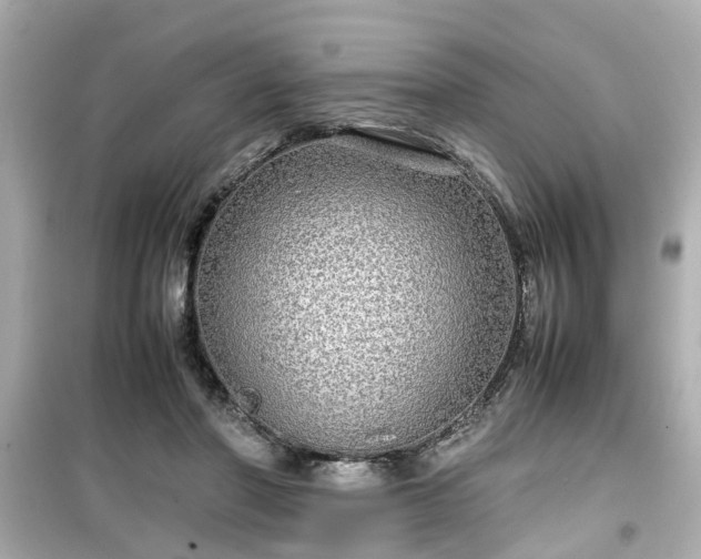 X0000099490406200805221342