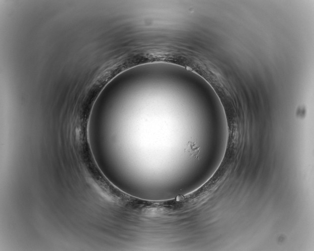 X0000099490408200805221342