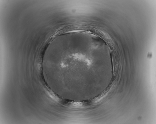 X0000099490409200805221342