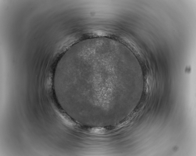 X0000099490410200805221342