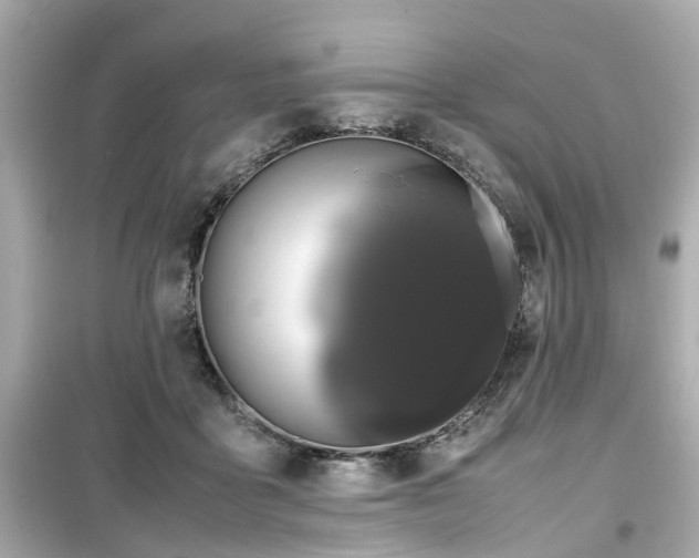 X0000099490411200805221342