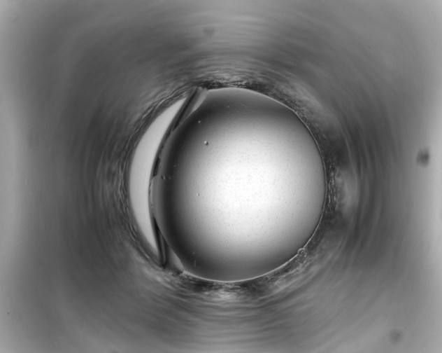 X0000099490412200805221342
