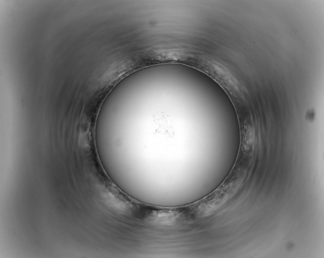 X0000099490414200805221342