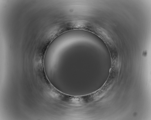 X0000099490415200805221342