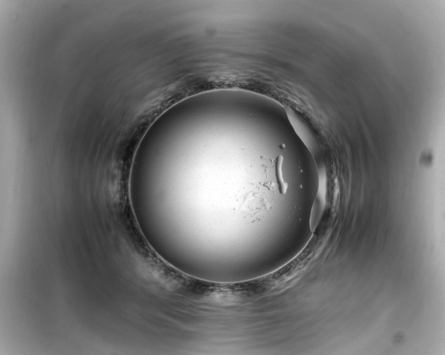 X0000099490416200805221342