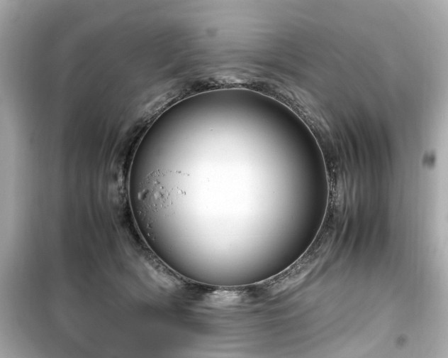 X0000099490418200805221342