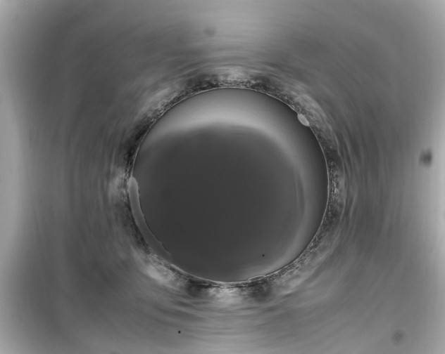 X0000099490419200805221342