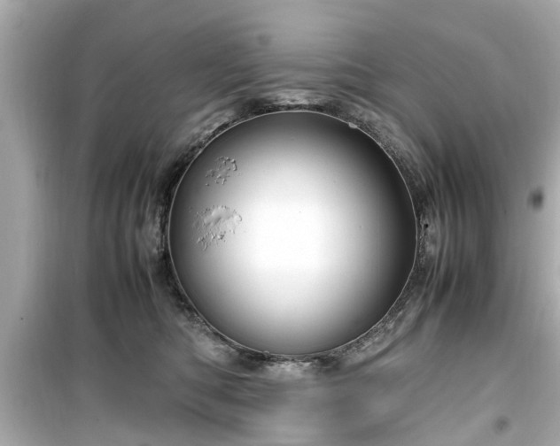 X0000099490422200805221342