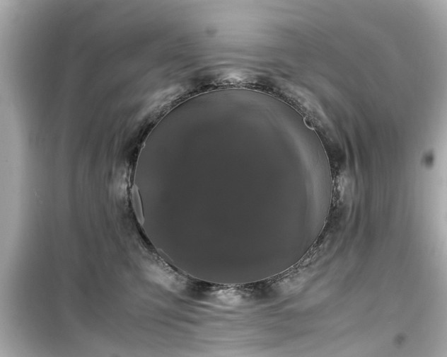 X0000099490423200805221342