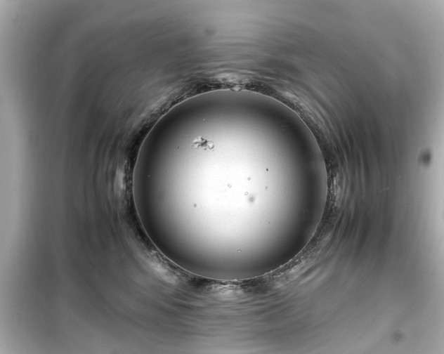 X0000099490424200805221342