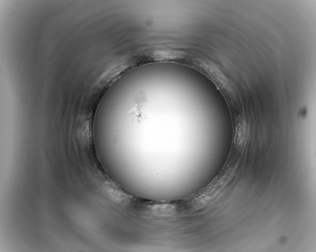 X0000099490426200805221342