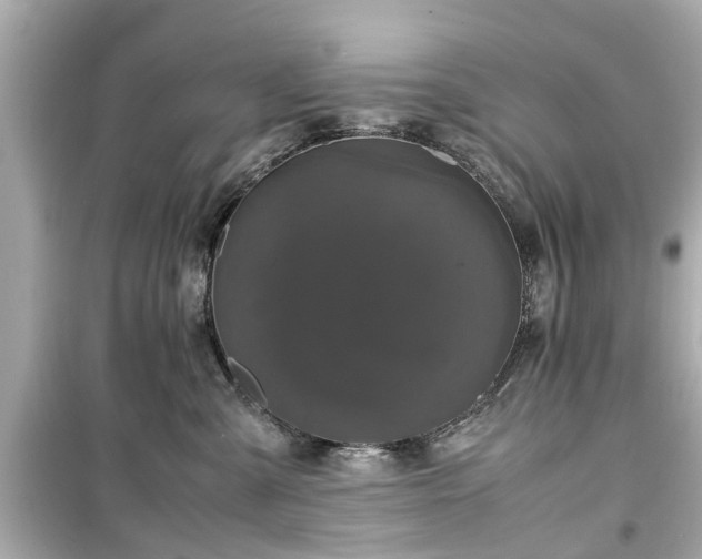 X0000099490427200805221342