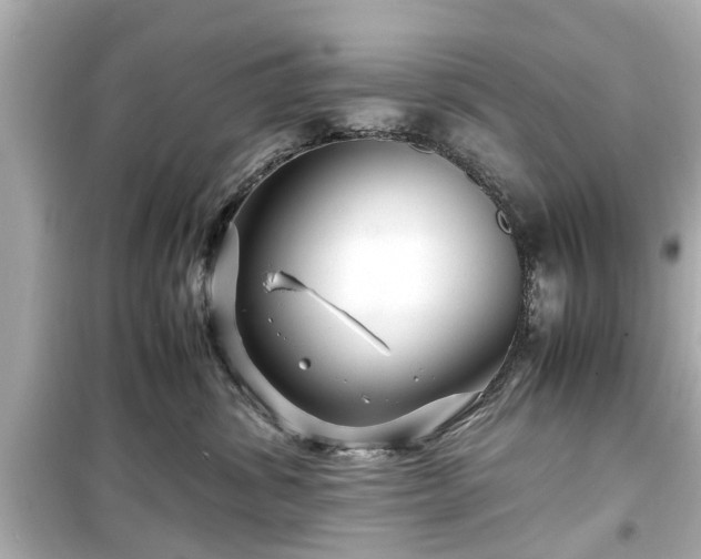 X0000099490428200805221342