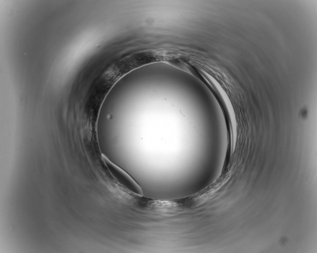 X0000099490429200805221342