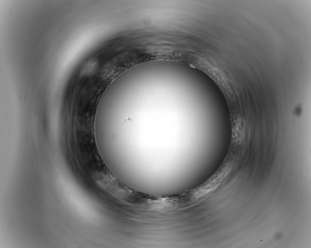 X0000099490430200805221342