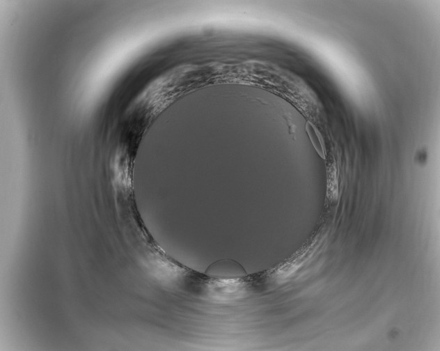 X0000099490431200805221342