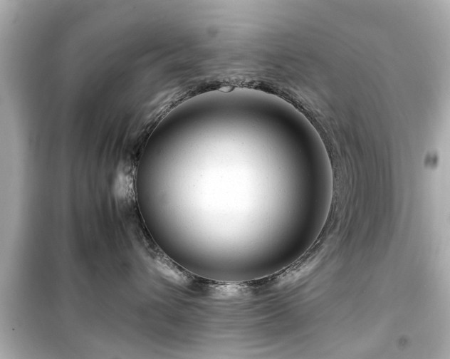 X0000099490432200805221342