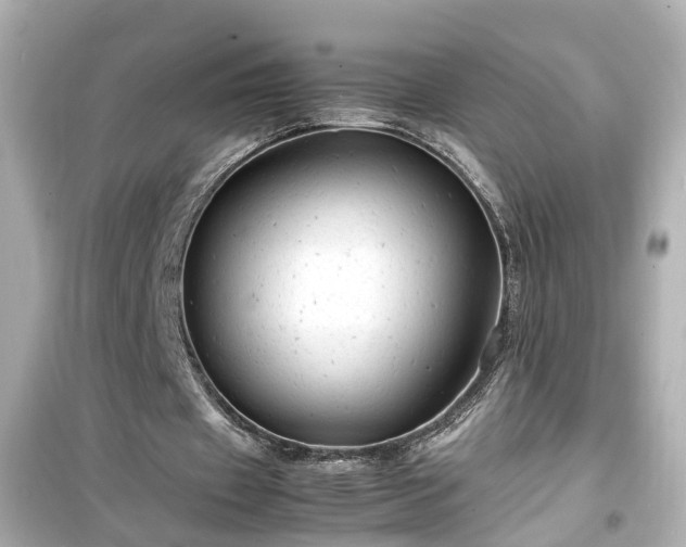 X0000099490433200805221341