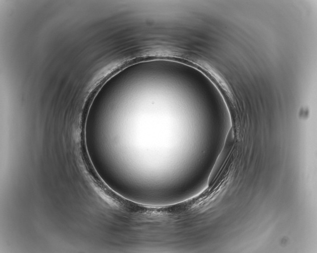 X0000099490437200805221341