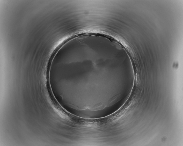X0000099490438200805221341