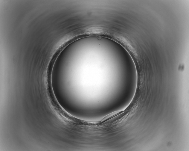 X0000099490439200805221342
