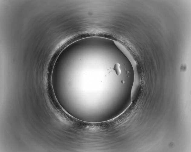 X0000099490440200805221342