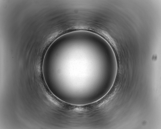 X0000099490441200805221342