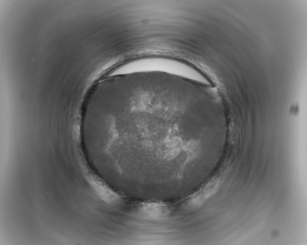 X0000099490446200805221342